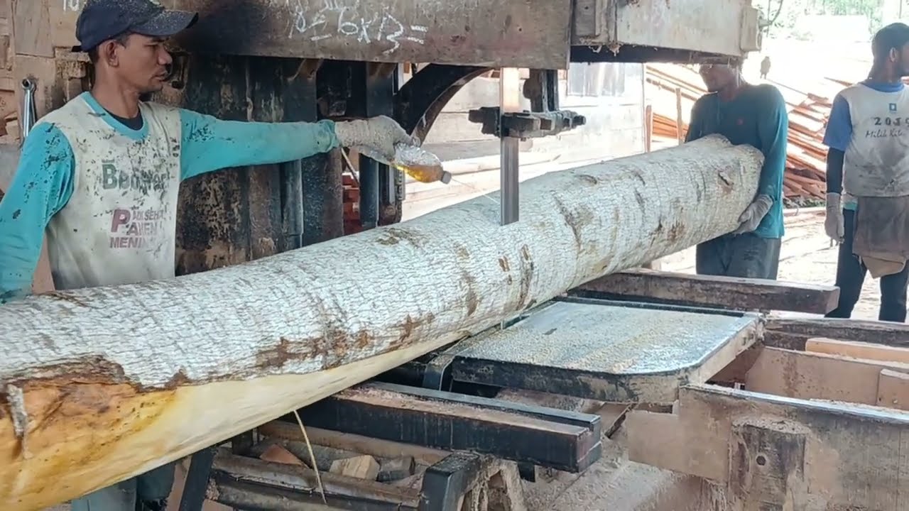 Sawing Perfection Like You've Never Seen – Precision Cuts That Amaze!