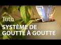 Réaliser un SYSTÈME DE GOUTTE À GOUTTE pour ses PLANTES D'INTERIEUR ET D'EXTERIEUR ! [DIY]