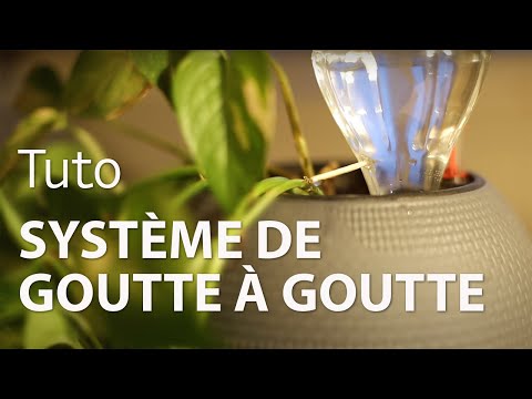 Vidéo: Arrosage automatique des plantes d'intérieur à faire soi-même. Système d'arrosage automatique pour plantes d'intérieur