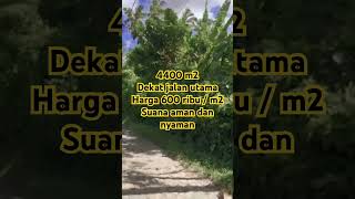 Jual propety dekat jalan utama,suasana sejuk dan sangat stategis di tabanan bali