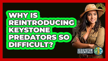 Why Is Reintroducing Keystone Predators So Difficult? - Ecosystem Essentials