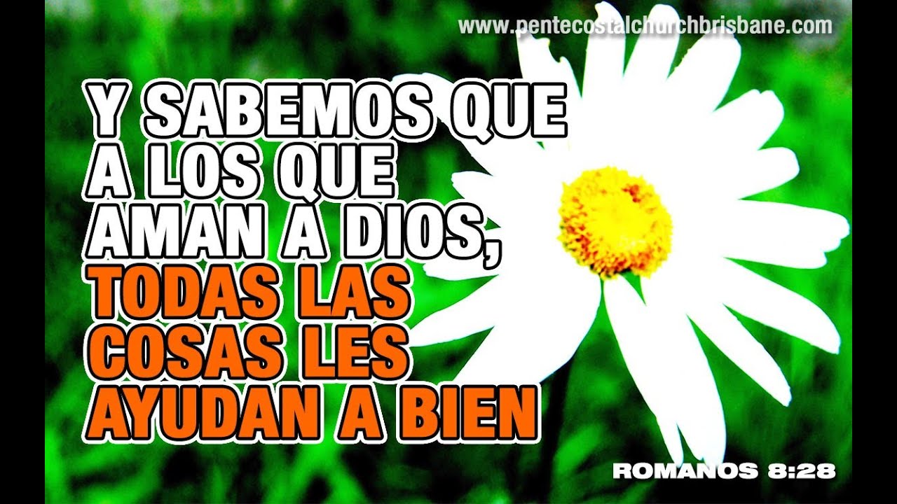 Y sabemos que a los que aman a Dios, todas las cosas les
