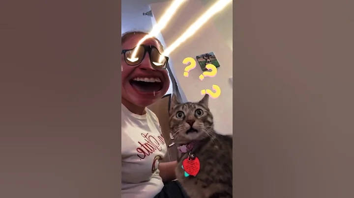 Watch the video about #3 funny cat videos 😹💖 #shorts #cat #funnycats