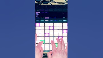 Ableton Push 2 Jam using 808 and Juno Synth Bass