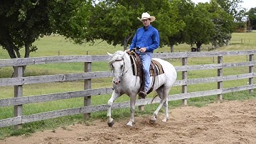 1 Minute Training Tip - Soft Smooth Transitions   Trot to Canter