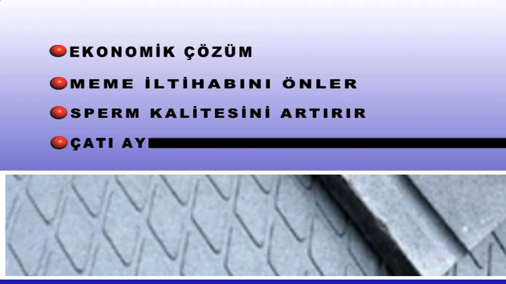 ARÇİM HATKO HAYVAN YATAKLARI REKLAMI