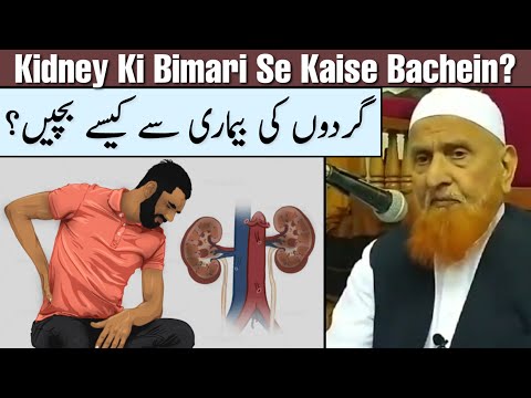 Kidney Ki Bimari Se Kaise Bachein Maulana Makki Al Hijazi Islamic Group
