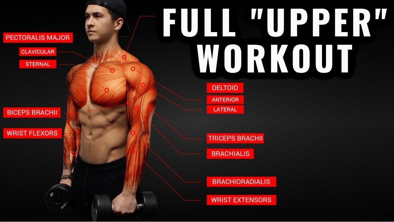 Fitness  4 Basic Expander Exercises! Upper Body Focused