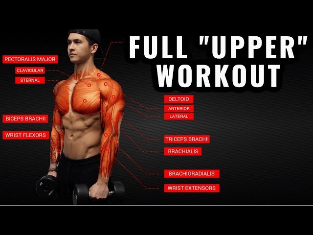 Most Effective Upper Body Exercises for Women and Men! — Steemit