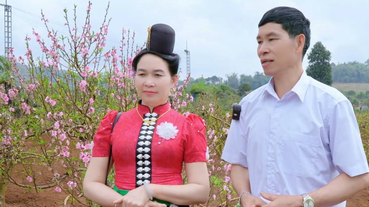 Hát thái giao duyên tình yêu rất hay thể hiện hoàng Nhung & Phượng hoàng 