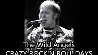 Crazy Rock&#39;n Roll Days - Wild Angels