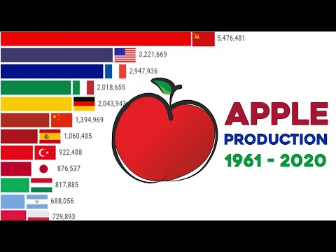 Apple (Fruit) Production