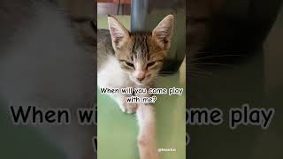 Hello My Best Friend