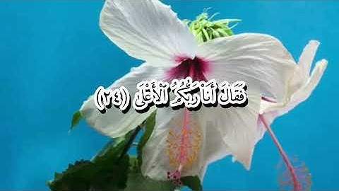سورة النازعات كاملة . تلاوة خاشعة . القارئ محمدحسين فرج الله 