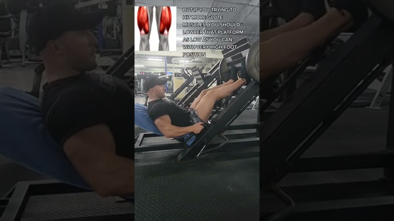 LEG PRESS tips for quads vs glutes isolation shorts YouTube