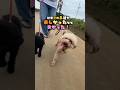 三浦市宮川公園！付近でお散歩🐶🐾‪‪✨️