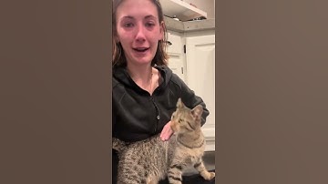 What do i do?! 😭 #feralcat #adoptstrays #rescuecat #straycat @shes_a_hot_mess