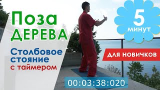 Цигун для начинающих // Поза дерева 5 минут под звуки моря // Сергей Виноградов