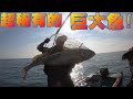 天呀!終於釣到了超巨大的名貴魚!沒想到能捕捉到這珍貴的稀有畫面!這一隻不知道要多少錢...
