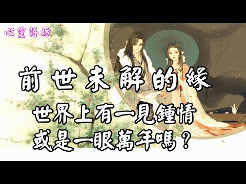 前世未解的緣~世界上有一見鍾情或是一眼萬年嗎?