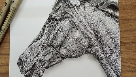 MY FIRST STIPPLING ART | AROUND 3 MILLION DOTS 😯