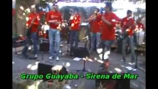 Video thumbnail of "Grupo Guayaba - Enfermera-Sirena de Mar-Tiene un no se que"