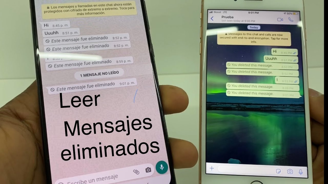 Aquí como Leer los mensajes borrados de WhatsApp ( 2020