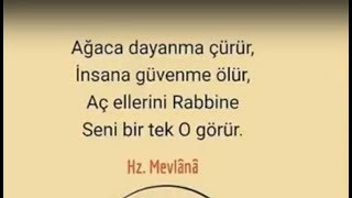 Ağaca Dayanma çürür, İnsana Güvenme ölür, Aç Ellerini Rabbine... Ağaca Dayanma çürür, İnsana Güvenme ölür, Aç Ellerini Rabbine...