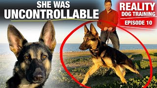 She was TOTALLY UNCONTROLLABLE! Reality Dog Training