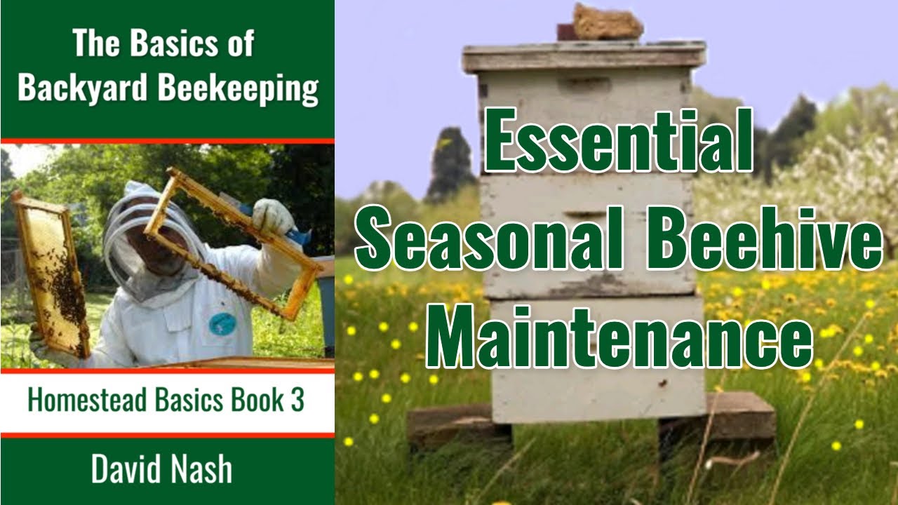 Essential Seasonal Hive Maintenance