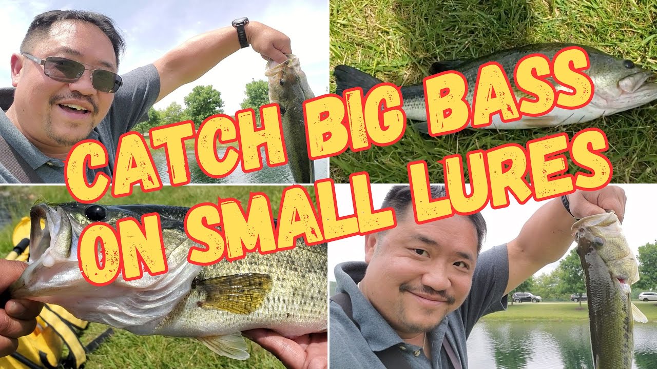 Uncommon Method to Catching Big Bass on Small Lures
