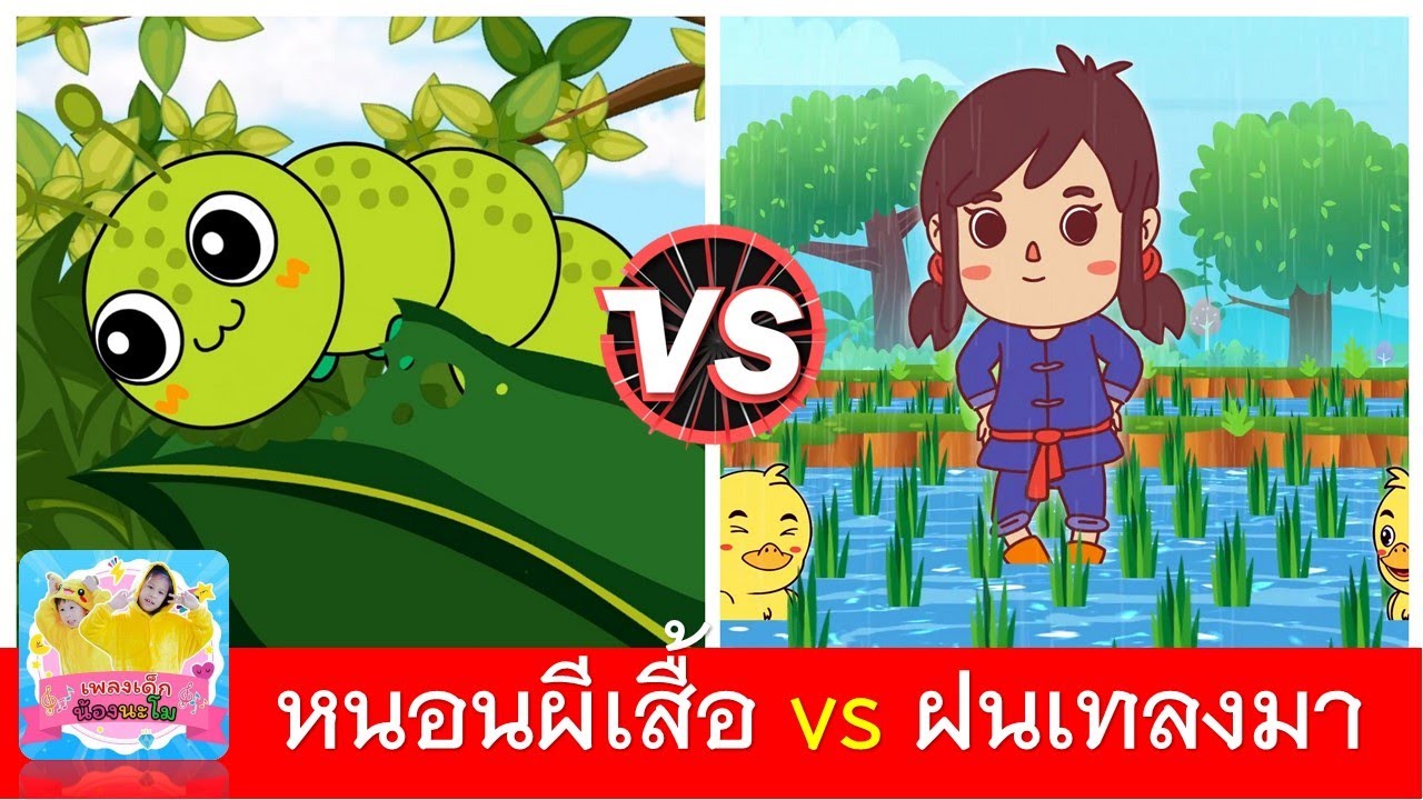 หนอนผีเสื้อ vs ฝนเทลงมา
