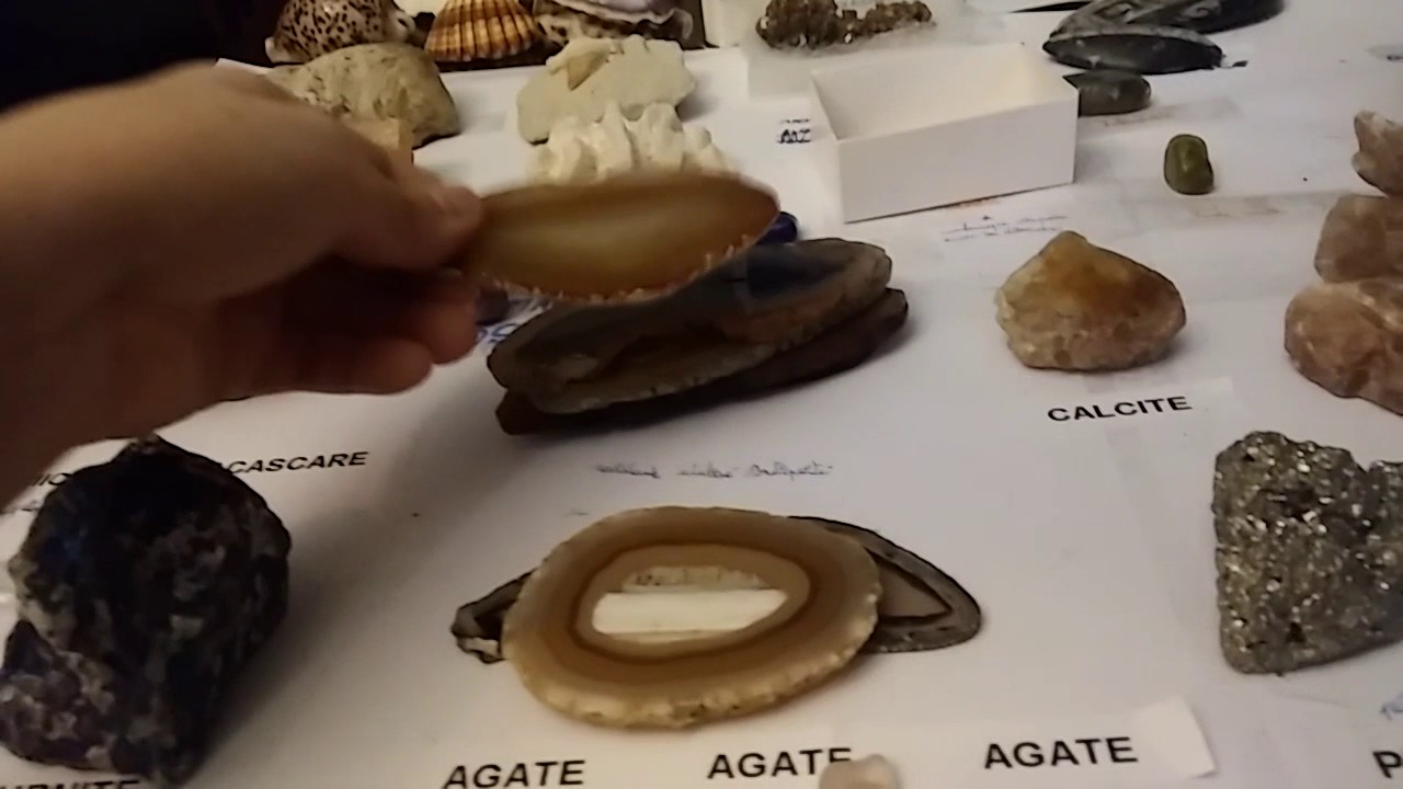 Ma collection de roches, minéraux et fossiles [Part 1] - YouTube
