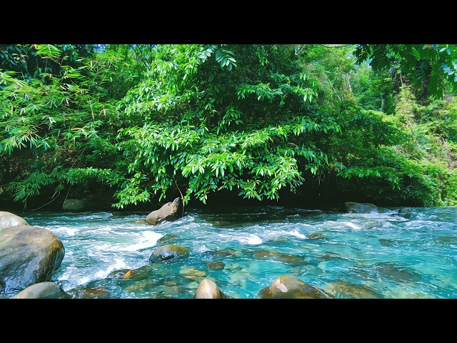 Cozy Ember ASMR 🌿 Quiet River Ambience | No Talking No Music Sleep Aid