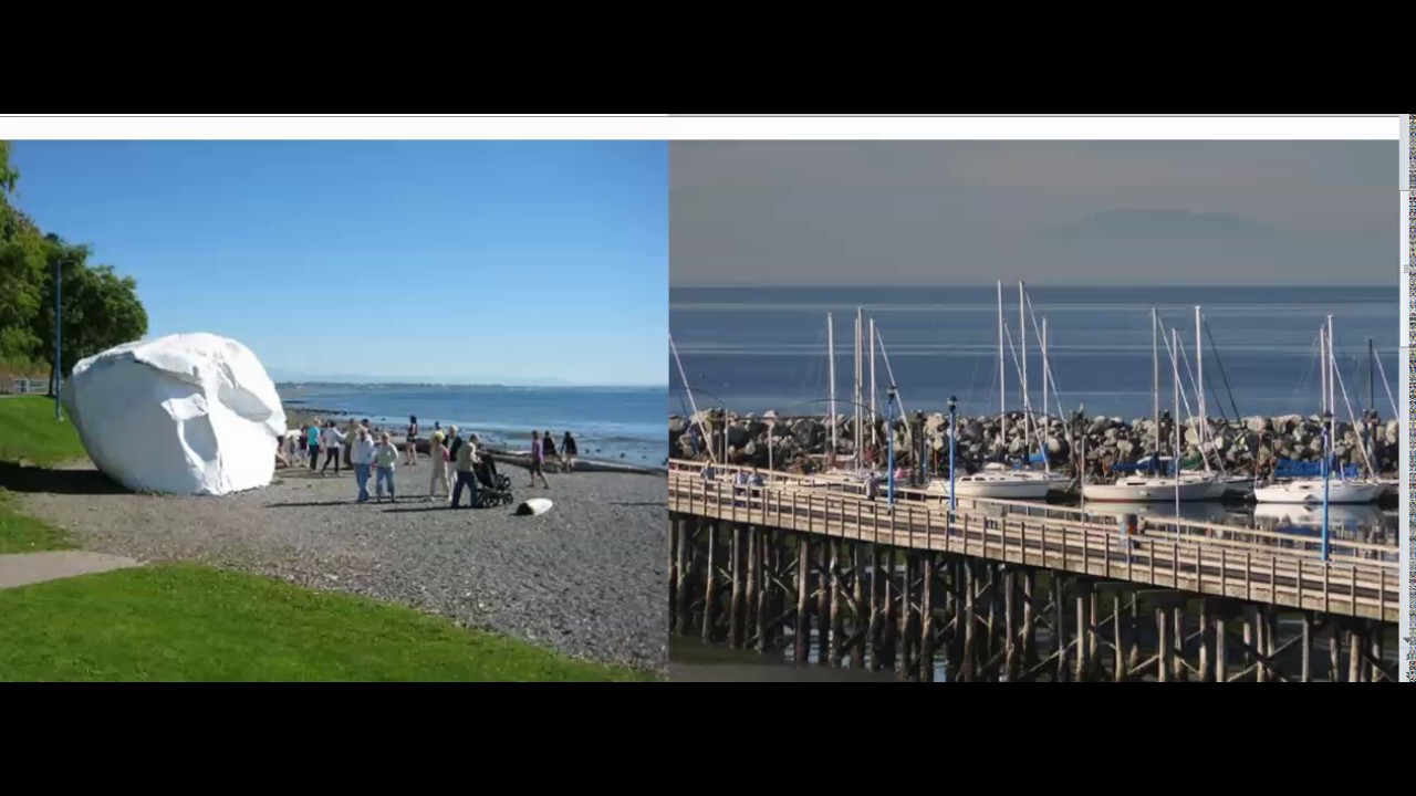 White rock neighbourhood reviews