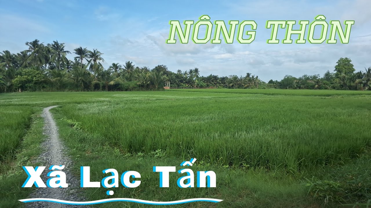 Khám Phá Vùng Thôn Quê Xã Lạc Tấn Huyện Tân Trụ Tỉnh Long An