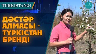 видео: Қарнақ ауылында еш жерде жоқ  картинка: Қарнақ ауылында еш жерде жоқ