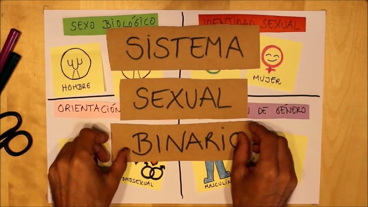 ¿QUÉ ES LA DIVERSIDAD SEXUAL EXPLICACIÓN FÁCIL - YouTube