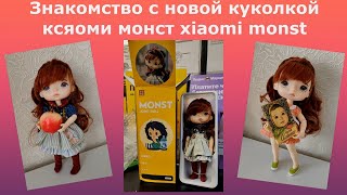 Знакомство с куколкой ксяоми монст Xiaomi Monst. Куклы БЖД. Новая кукла в моей коллекции