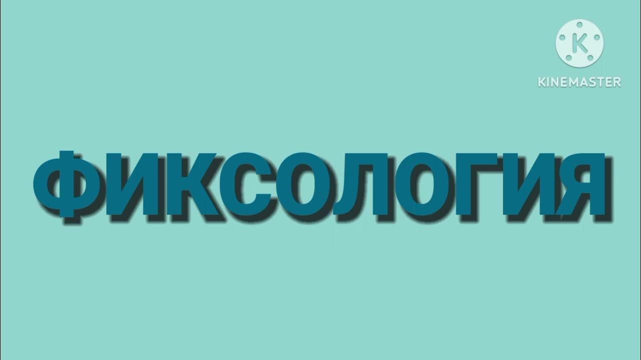 Фиксики - Фиксология - Шпуля - YouTube