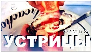 Галилео. Устрицы (часть 2)