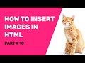 Html tutorials for beginners  how to add  insert image in html from a folder using notepad