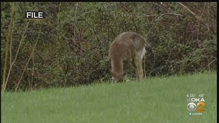 Pa. Firearm Deer Season Will See Hunting On Both Saturday And Sunday