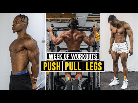 My Full Week of Workouts | PPL Routine for Building Muscle Mass!