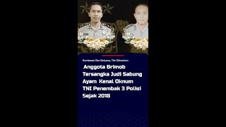 Anggota Brimob Tersangka Judi Sabung Ayam Kenal Oknum TNI Penembak 3 Polisi Sejak 2018 #short