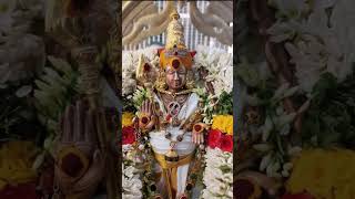 முருகர் பாடல் #indhu #devotionalhits #palanimuruga
