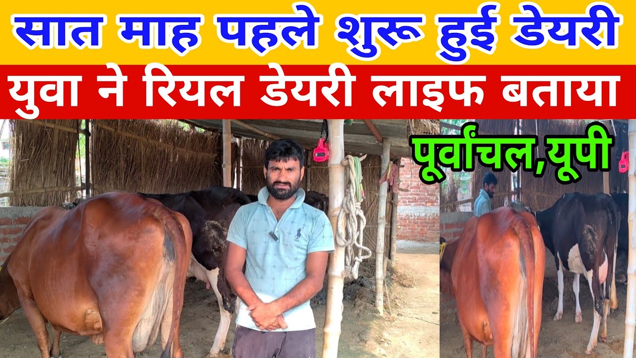 Bsc.Ag. करने के बाद 7 माह पहले शुरू किया गांव में डेयरी#farming/small dairy farm/dairy farm up ||