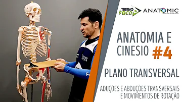 O que é eixo Latero-lateral?
