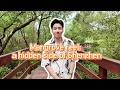Mangrove reel: A hidden side of Shenzhen