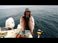 REEF fishing with an ELECTRIC REEL?? (Mutton and Mangrove Snapper) |Bottom Fishing|